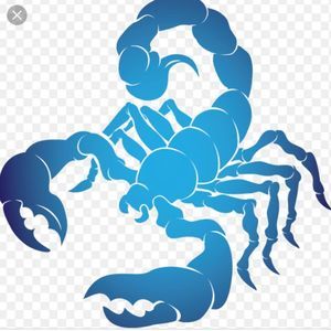 Meet your Posher, Travis